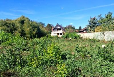 Casă individuală cu 4 camere în Snagov