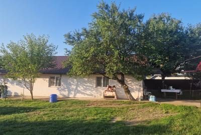 Casă individuală cu 2 camere în Brăești
