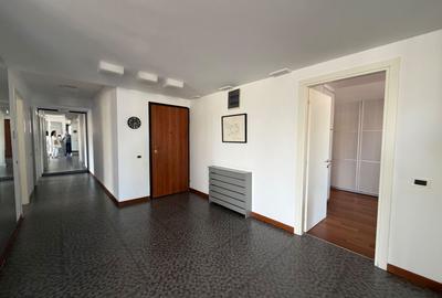 Nou Chirie | 4 camere  Herastrau - 3