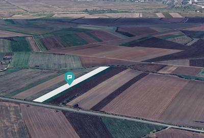 Teren intravilan la stradă principală Remetea Mare - 2