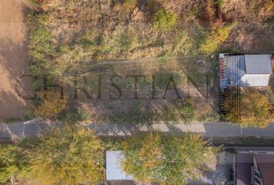 | Teren Intravilan Domnesti 585 mp-Investitie | - 9