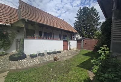 Gospodarie de vanzare in Voila - 2