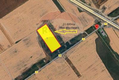 Teren intravilan 11600mp | Clinceni | Oportunitate de Investiție - 4