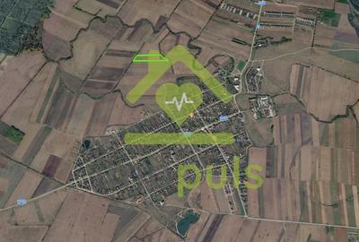 🗺️ Teren intravilan 20.200 mp – Bucovăț ✨ - 2