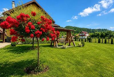 Refugiu pretios:jacuzzi, lemn masiv,2.000 mp teren,4 dormitoare, cuptor, investi - 15