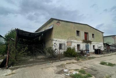 Complex industrial/Ferma de vânzare | Orțișoara, jud. Timiș - 12