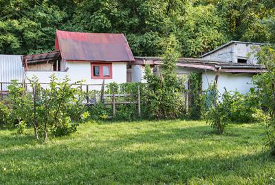 Brasov - Racadau, casa libera la vanzare. - 5
