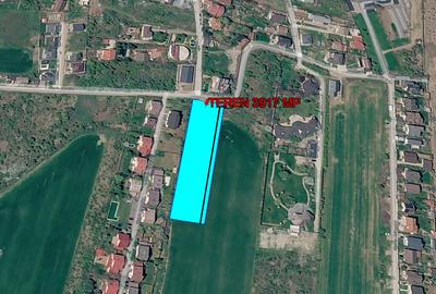 OCAZIE UNICA! Teren intravilan 3917  mp | Drum asfaltat | Balotesti - Morarilor - 2