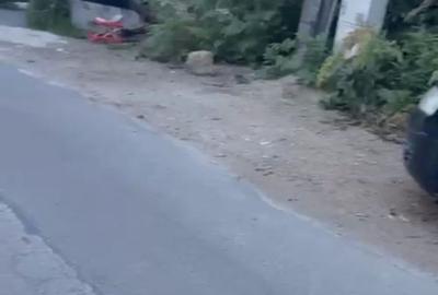 Ciolpani teren intravila 2500 mp de vanzare - 2