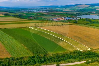 Oportunitate pentru fermieri: 10.800 mp teren arabil în Rotbav, Brașov - 8