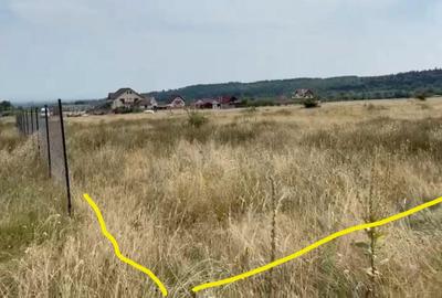 Teren intravilan 1.000 mp | Sâmbăta de Sus | Munții Făgăraș - 4