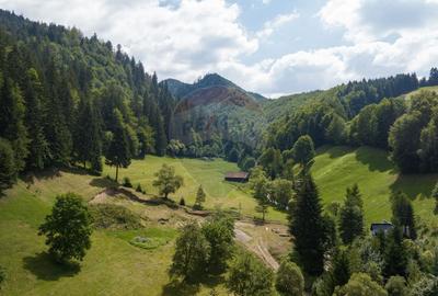 Teren 2.891 mp Șimon – Bran | Poziție rară, potențial turistic - 4