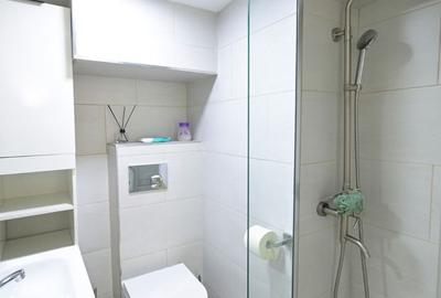 Penthouse Asmita Gardens | terasa 99 mp | Splaiul Unirii - 43