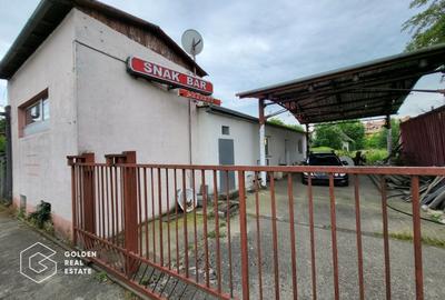 Casă individuală cu 6 camere în Central