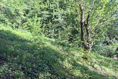 Teren de vânzare în Sinaia – 700 mp | Langa Hotel International! - 4
