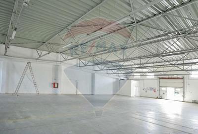 De vânzare Spațiu industrial de 10 129 mp, Șoseaua Borșului - 9
