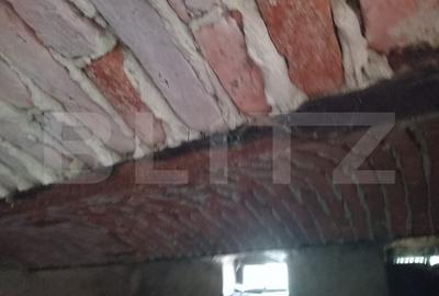 Proprietate cu farmec rural în Beclean, aproape de Făgăraș - Beclean - 20