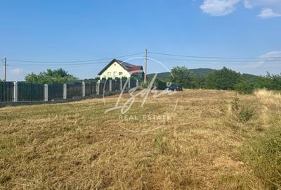 Teren intravilan pentru casa in Talmaciu - 7