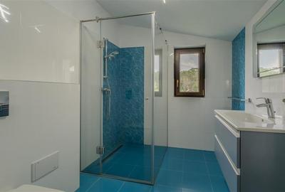 BALOTESTI - LAGUNA VERDE,VILA ,7 CAMERE,498 MP,TEREN 1000 MP,LANGA LAC SI PADURE - 36