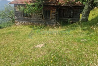 Teren agricol intravilan de 26034 mp, în Bulz