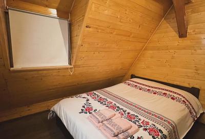Casă individuală cu 8 camere în Colibița