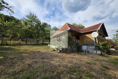 Casă cu teren si pomi fructiferi sat Vălișoara,jud HD la 28 km de Deva - 5