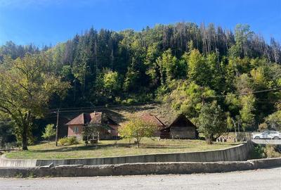 Doua case, teren si padure in Mihaileni - Buces - 1