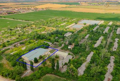 Hala industriala de vanzare Arad - 7