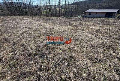 Teren Construcții intravilan de 675 mp, în Teleac