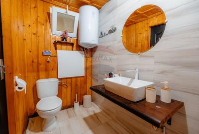 Pensiune de vânzare, Corbșori (Poenari)| potențial real de Business - 14