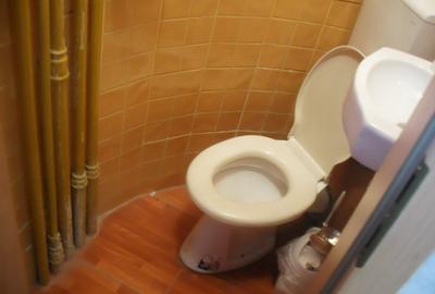 ,3 cam in vila,2 intrari,parter,PARCARE 2 -3 AUTOTURISME, - 8