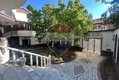 Vila de inchiriat-Saftica - 17