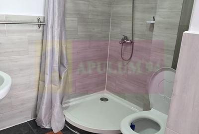 Vila din padure in Valea Doftanei - 23