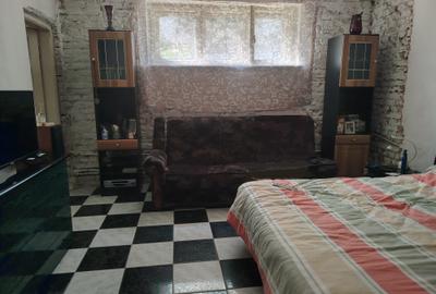 Apartament cu curte proprie Central - Ciuperca - 3