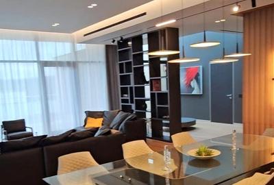 Penthouse spectaculos Nordului - 7
