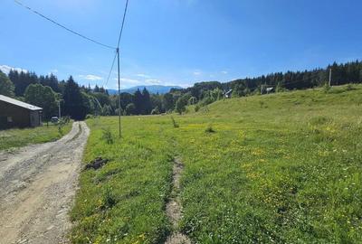 Teren intravilan Traisteni, Valea Doftanei – 2.290 mp, deschidere mare, padure - 5