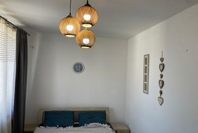 Bulevardul Mamaia -delfinariu 2 camere - 13
