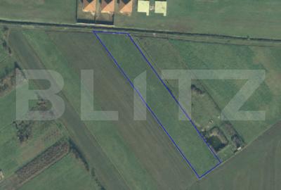 Teren agricol extravilan de 5000 mp, în Amați