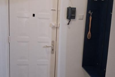 Piata Muncii-Alba iulia  Garsoniera 40 mp,mobilata modern,utilata,bloc mixt 350€ - 25