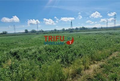 Teren agricol extravilan de 5000 mp, în Ampoi 1