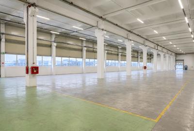 Parc Industrial-Oportunitate de Investitie - 3