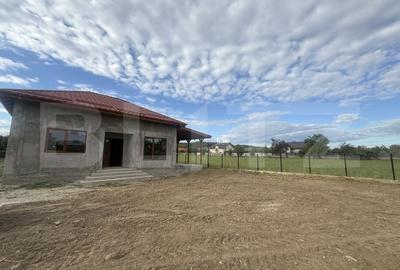 Casă individuală cu 3 camere în Gura Vulcanei