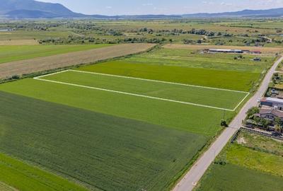Teren 9.300 mp Stupini | Front 45.59 m la Asfalt | PUG Zonă L1c - 7
