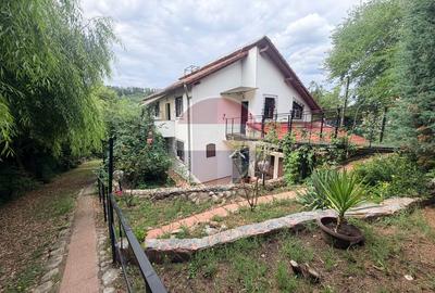 Leamna de sus, casa cu piscina, 2000mp - 3