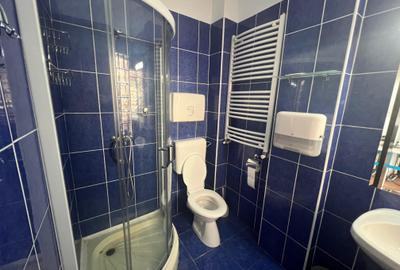 Domenii - 6 rooms villa for rent - 17