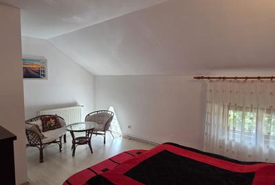 Casa in Bod zona centrala,  P+M, 8 camere, teren 1111 mp, fantana proprie. - 34