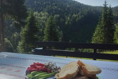 Domeniu Retreat Ecologic - 2