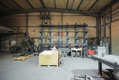 Hală în parc industrial Borș 1, teren 2.903 mp, de vânzare - 42