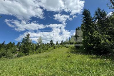 TEREN EXTRAVILAN DE VANZARE | CAMPULUNG MOLDOVENESC | 235.000€ - 5