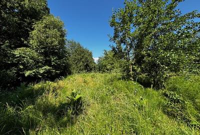 Teren doua loturi 3100 mp. - 2800 mp. Dăesti - Valcea - 5
